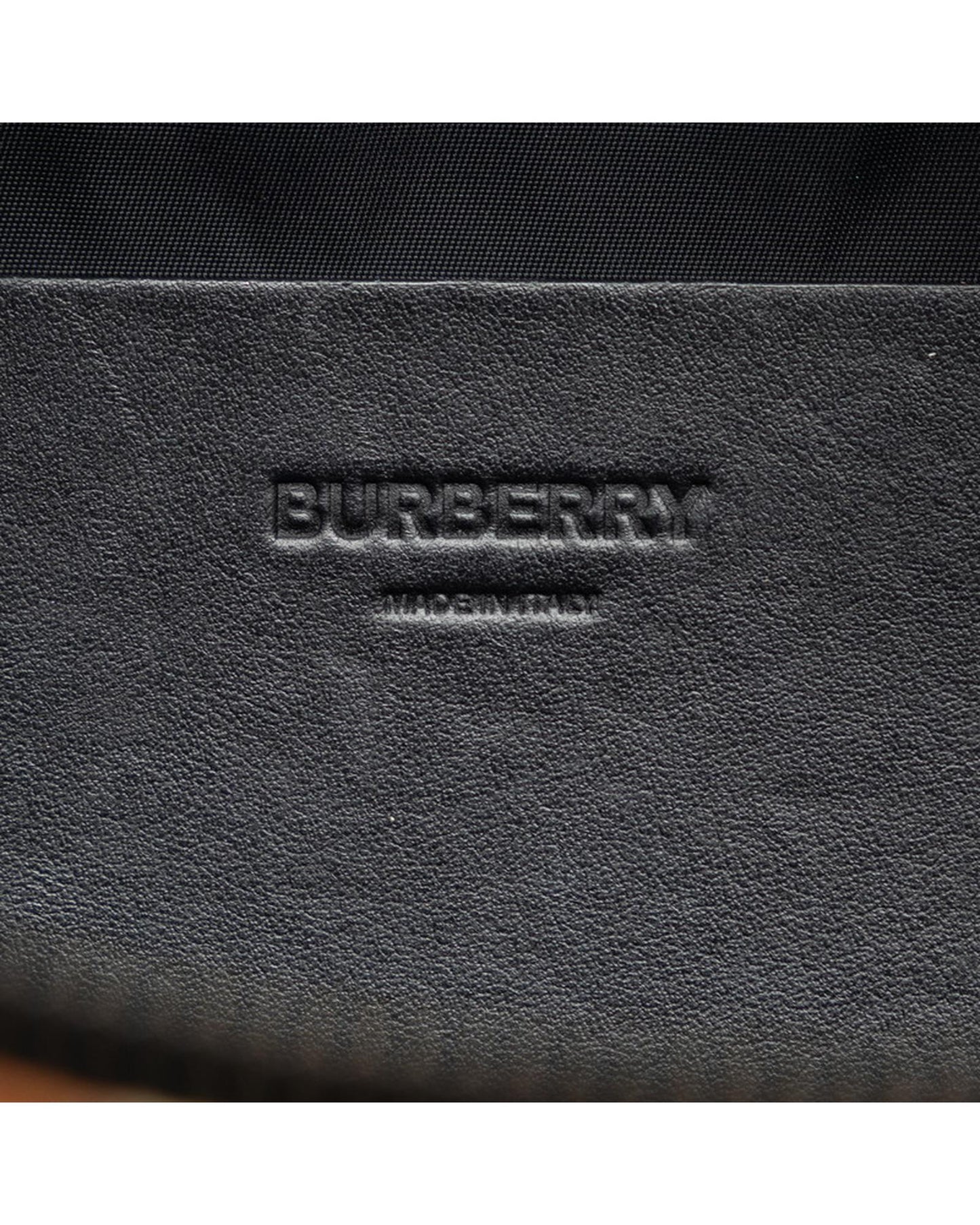 Burberry Women's Nylon Printed Belt Bag in Brown in Brown