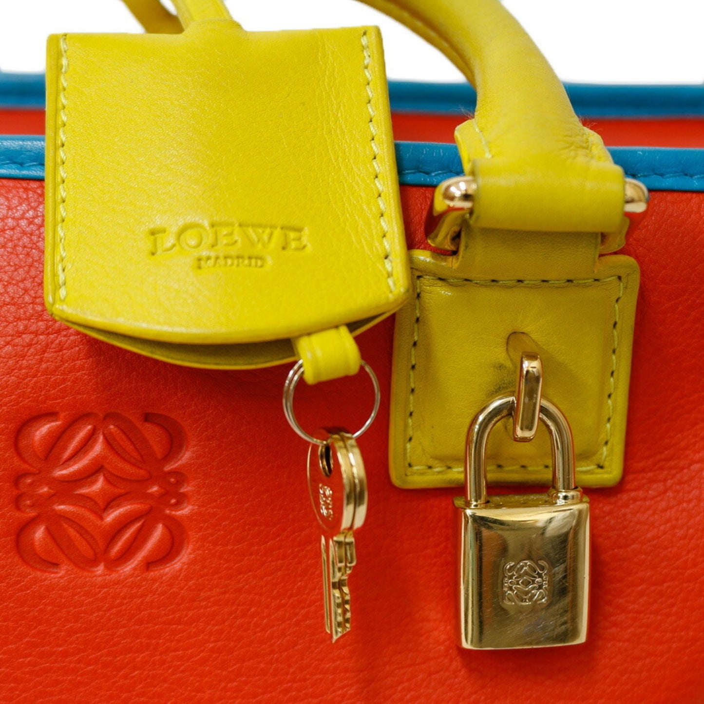 Loewe Women's Multicolored Leather Handbag in Multicolour