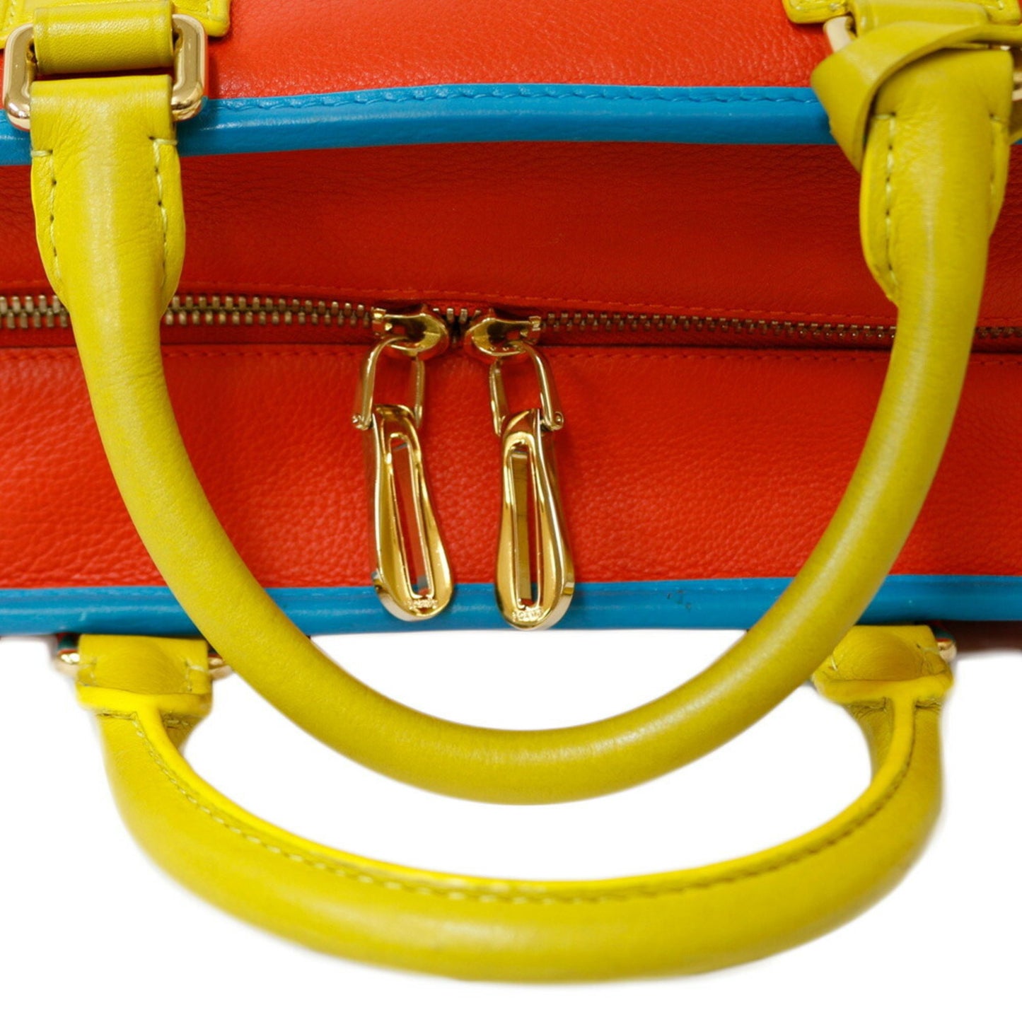 Loewe Women's Multicolored Leather Handbag in Multicolour