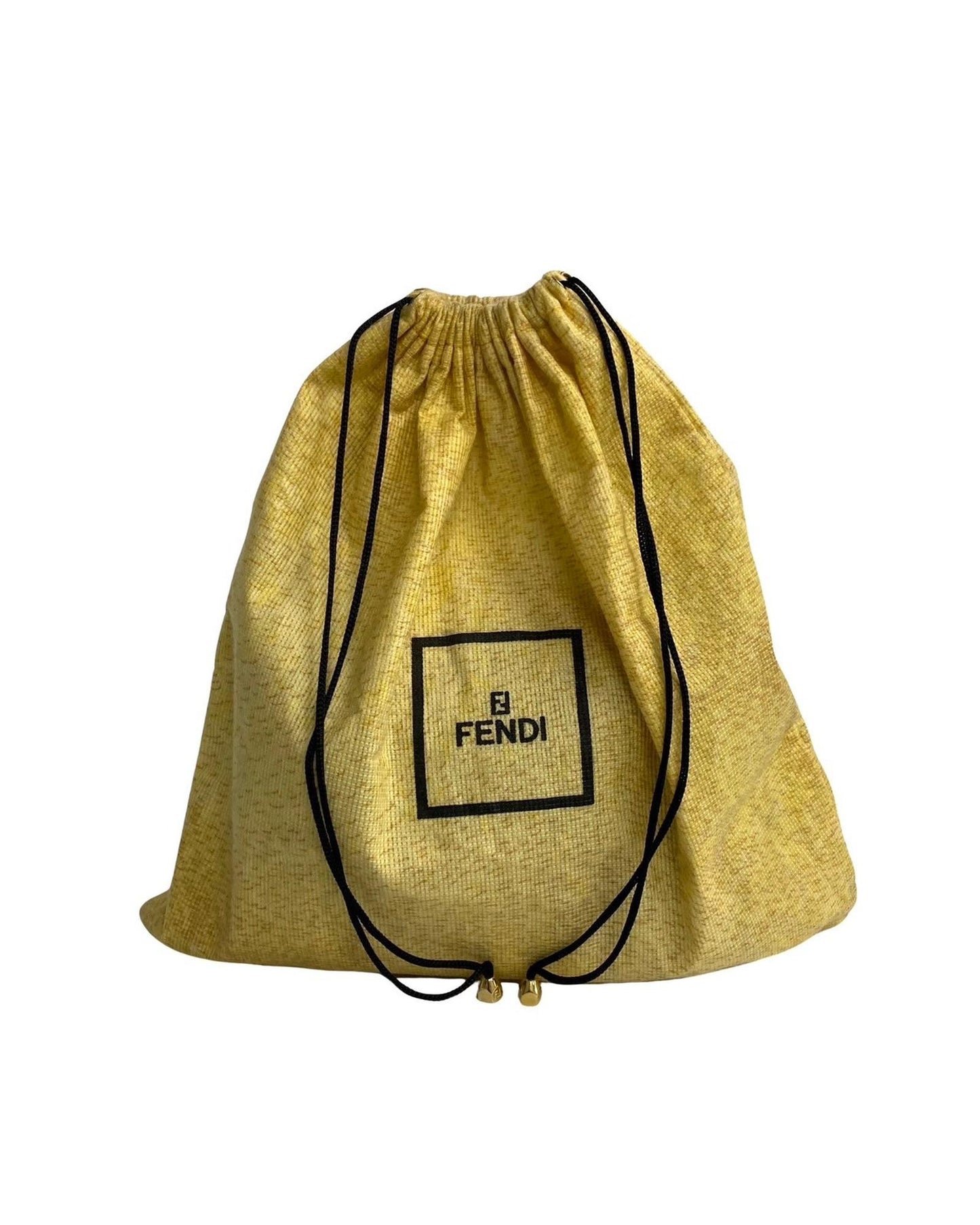 Fendi Women's Convertible Push Lock Box Bag in Brown in Brown