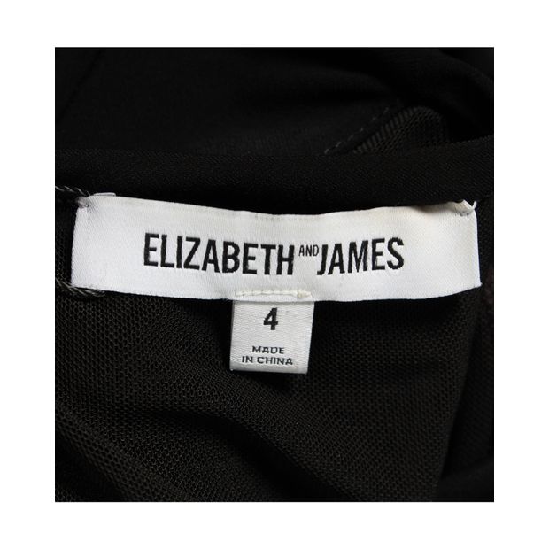 Elizabeth And James Black Mesh Bodycon Mini Dress